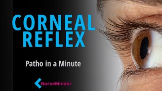 Corneal Reflex: Pathophysiology for Nurses (in a minute)