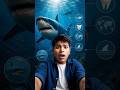 शार्क भी इस छोटी मछली को नहीं खाती 😱🦈 | Ocean’s Smartest Deal! 🌊🔥 #viral #shortsviral #youtubeshorts