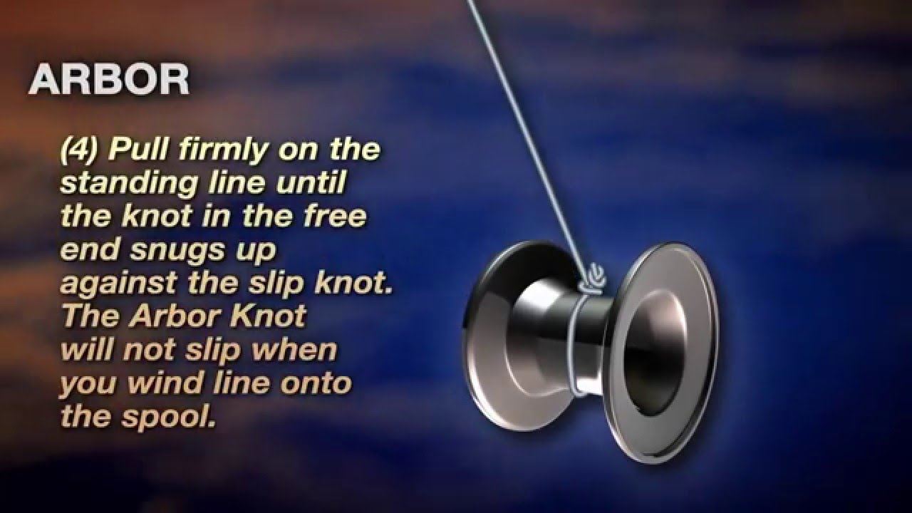 How to tie an Arbor Knot by PENN YouTube