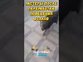 РАСТЕРЫ ПОСЛЕ ПЕРЕРАБОТКИ ПОВЕДЕНИЯ СОБАК В RUST/РАСТ #rust #раст #grandrust #выживание