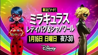 Disney Channel Japan: Miraculous Ladybug Mega Leech Promo