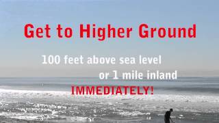 Tsunami PSA