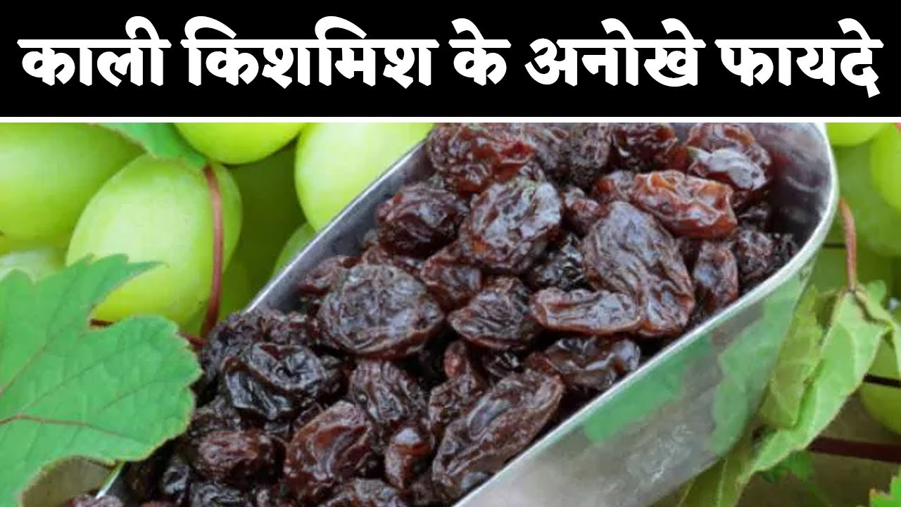 काली किशमिश के फायदे और नुकसान Benefits of Black Raisins Diet for
