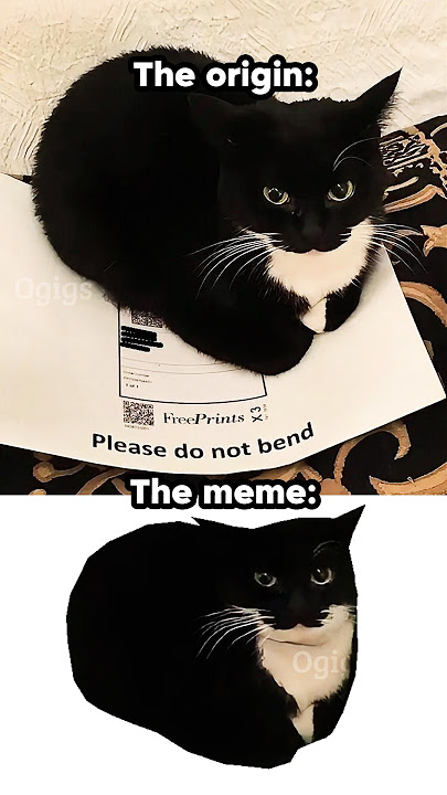 Maxwell the Cat origin