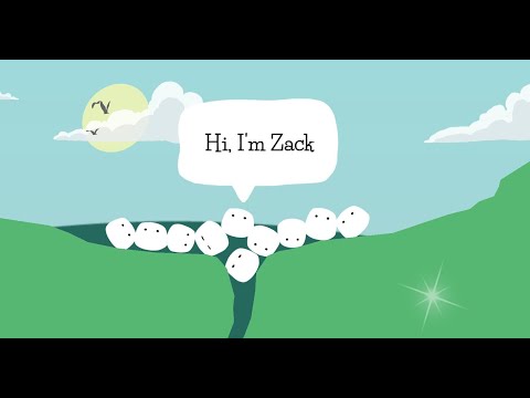 yt