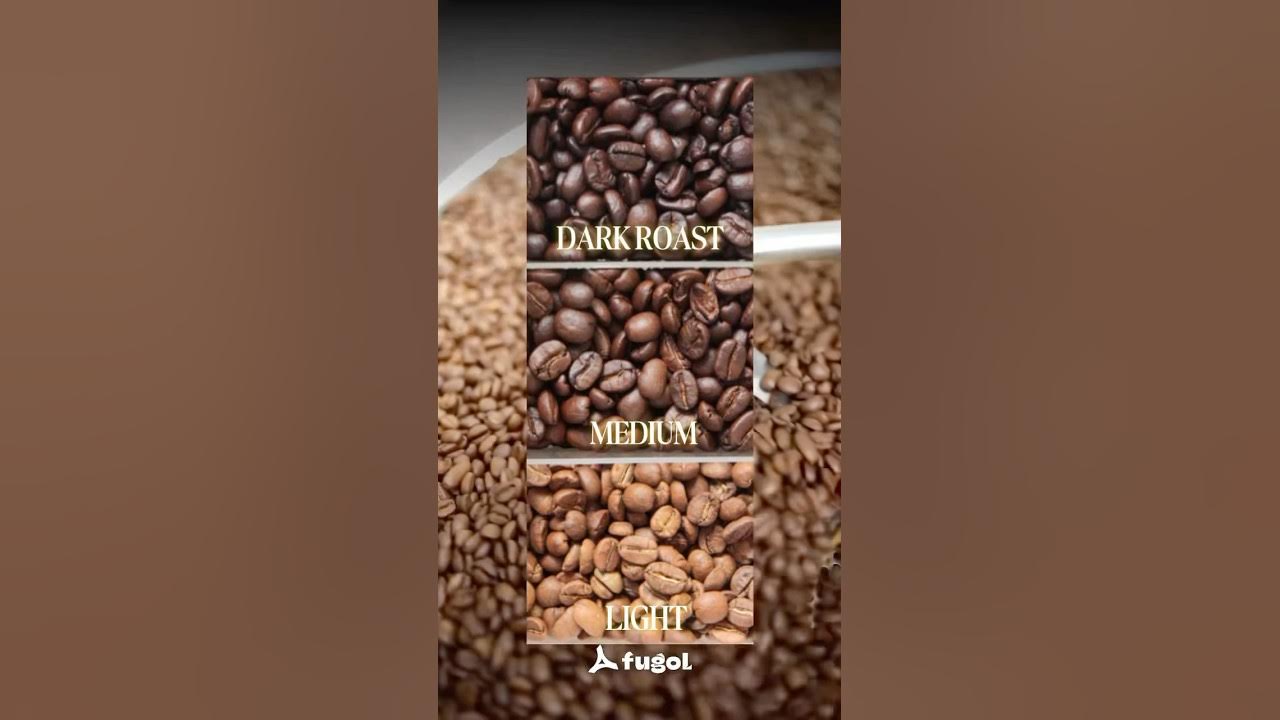 TIPS MEMILIH PROFIL ROASTING TIPS MEMILIH PROFIL ROASTING