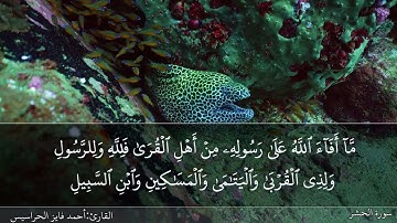 الصفحة 546 سورة الحشر بصوت القارئ المهندس أحمد فايز الحراسيس