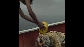 Video pendek cocofun