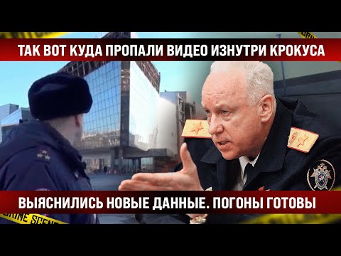 Москалькова высказалась о пытках задержанных за теракт