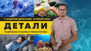 Слабое место раковых клеток. Дневной сон для остроты ума. ДЕТАЛИ