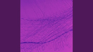 Pulsating Moods for Lightening Up Atmosphere