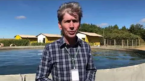 O que é piscicultura extensiva?