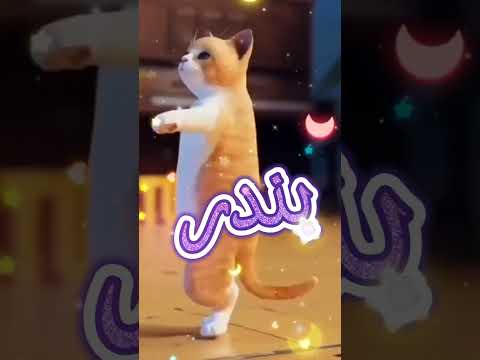 حسب الطلب بندر عمان الجزائر العراق مصر تركيا السعودية امارات حسب