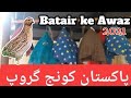 batair ki awaz mp3 download 2021, batair ki awaz mp3 free download, batair ki awaaz mp3