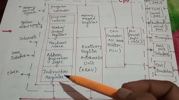 Architecture of TMS320C5x/DSP