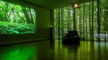 Martina Testen & Simon Šerc / konS modul ≡ Biodukt