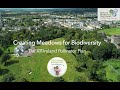 Creating Meadows for Biodiversity
