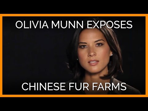 Olivia Munn Exposes Chinese Fur-Farm Cruelty