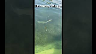 Hook Fishing Challenge | Can We Catch a Giant Fish? #fish #bgvlogs #goviral #tranding #fishing