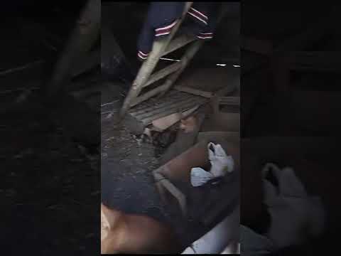 Спасск Дальний, Приморский край. 12.08.23. Где ВЛАСТИ???? Люди выживают просто.