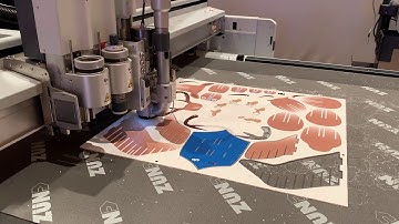 Zund Cutter In Action