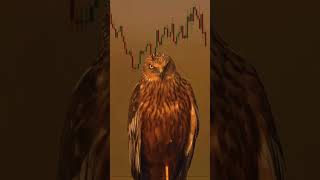 motivational stock market videos#livecryptotrading#best price action strategy#perfect scalping trade