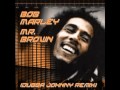 Bob Marley Mr.Brown Dubstep Remix