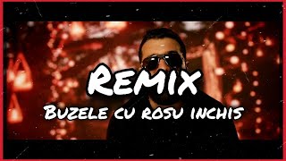 Tzanca Uraganu - Buzele cu rosu inchis 2021 (SYYA Remix)
