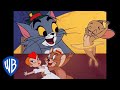 Tom & Jerry em Português | Brasil | Rainhas da Dança | WB Kids