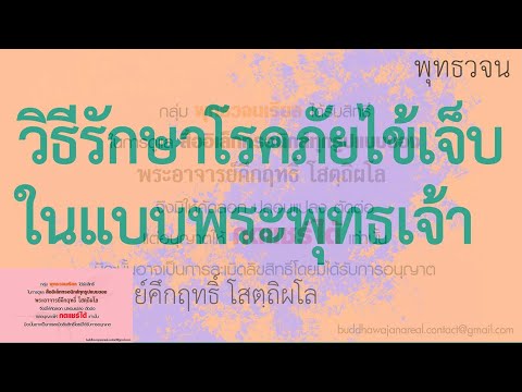 วีดีโอ: นักวิทยาศาสตร์อาจเพิ่งค้นพบวิธีรักษาโรคภัยไข้เจ็บที่คุกคามชีวิต