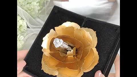 Bold Halo Heart-Shaped Engagement Ring with Pavé-Set Band - W0583