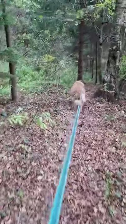 youtube.com