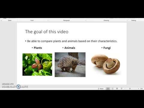 Comparing plants, animals, and fungi