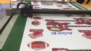 ride1982@163.com AOKE DCR flatbed cutting machine with conveyor system