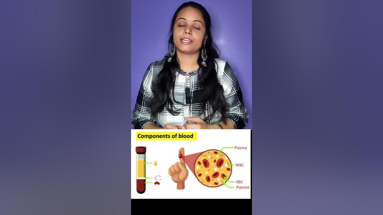 how does The Body make blood # blood कैसे बनता है #blood formation in