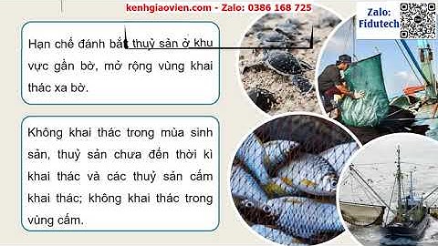 Giáo án PowerPoint Bài 26: Bảo vệ nguồn lợi... | GA điện tử Công nghệ 12 Lâm nghiệp Thuỷ sản Kết nối