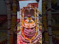Live highlight#mahadev #shortvideo #padmanabhamswami #youtubeshorts #shorts
