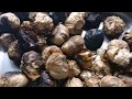 How To Make Black Garlic at Home (DIY)