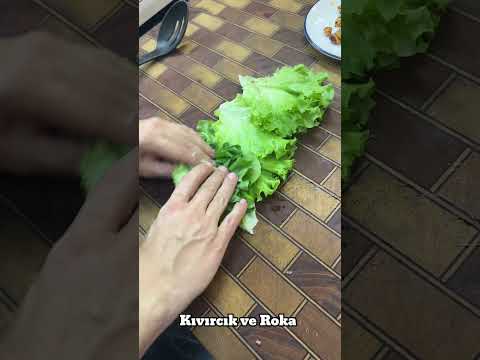 Yaz yaklaşmışken gelin şöyle ferah bir salata yapalım.