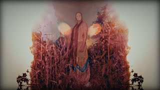 Pantha du Prince - Blume [Bendik HK Edit] (Official Video)