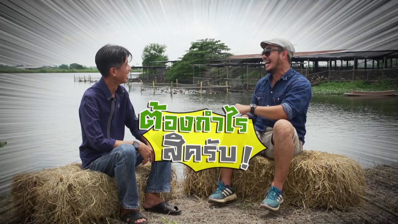 เกษตรไทยไอดอล | EP.119  ตอน เป็ดไข่โรงเรือน 18 ก.ย.60