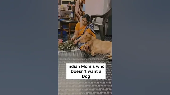 Every Indian mom who doesn’t want a dog ❤️ - DayDayNews