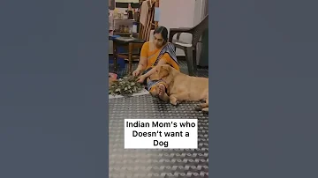 Every Indian mom who doesn’t want a dog ❤️