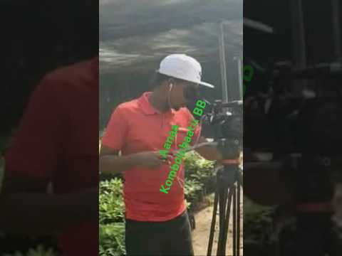 Hojii Asharaa Magarisaa Bara 2017 Milkeesuuf Aanaa Kombolchaatii 