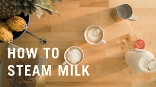 How to Perfect Steaming Milk – PASSPORT Coffee & Tea