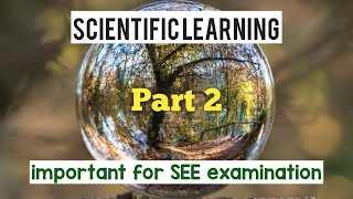 Scientific Learning (Part 2) Wealth