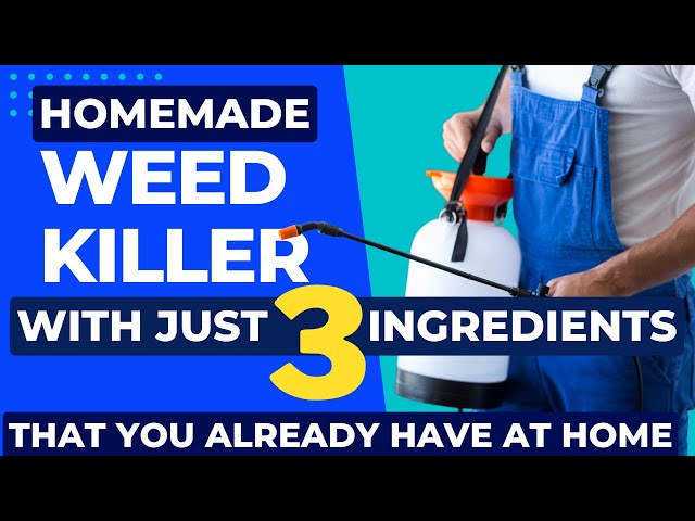 Stop Weeds: DIY Weed Killer Recipes That Work! 3 sddefault
