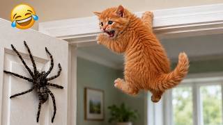 Funniest Cats and Dogs 2026😼🐶Try Not To Laugh😜