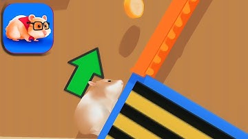 Hamster Maze  🐹🍓  Android,ios Gameplay All Levels