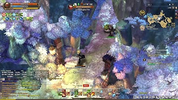 Tree of Savior Walkthrough 170 Emmet Forest Side Quets